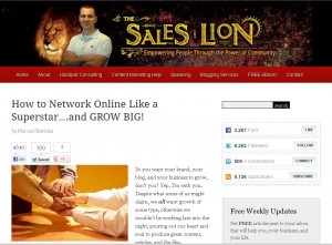 The Sales Lion Website